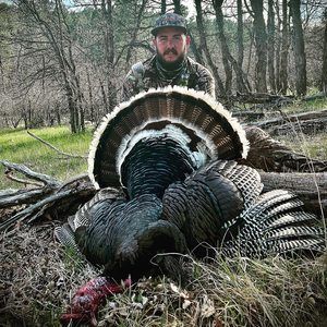 Meet your Posher, Andy